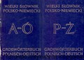 wielki slownik ao WP.jpg