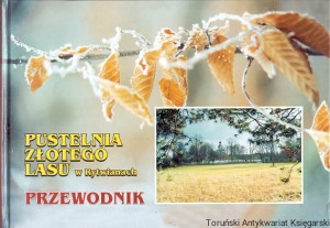 Pustelnia złotego lasu w Rytwianach Przewodnik / Elżbieta Graboś, Anna Sikora