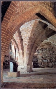 Pocztówka : Kwidzyń : Zamek Kapituły Pomezańskiej XIV w., Piwnice w skrzydle północnym / L. Okoński (fot.)