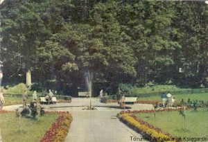 Pocztówka : Lądek Zdrój : Fragment parku zdrojowego / P. Krassowski (fot.)