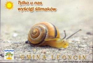 Pocztówka : Gmina Leoncin : Tylko u nas wyścigi ślimaków : Lokalna Organizacja Turystyczna Trzech Rzek / Jarosław Mosakowski  (fot.)
