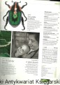 skanowanie0008.jpg