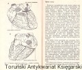 skanowanie0013.jpg
