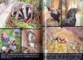 skanowanie0004.jpg