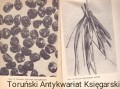 skanowanie0006.jpg
