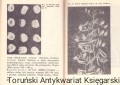 skanowanie0011.jpg