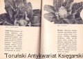 skanowanie0023.jpg