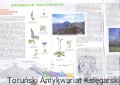skanowanie0003.jpg
