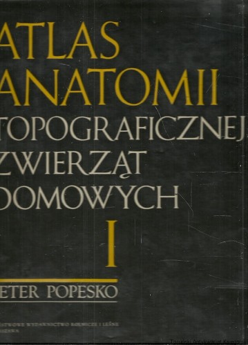 skanowanie0017.jpg