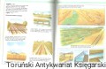 skanowanie0040.jpg