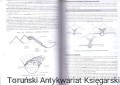 skanowanie0009.jpg