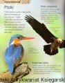 skanowanie0012.jpg