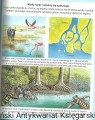 skanowanie0006.jpg