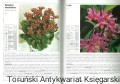 skanowanie0008.jpg