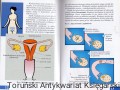skanowanie0069.jpg