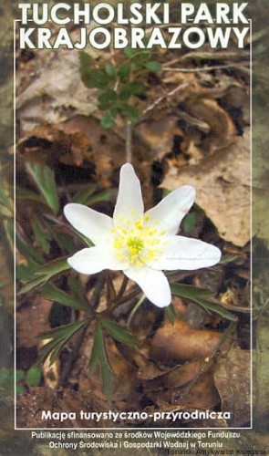 skanowanie0026.jpg