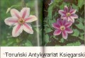 skanowanie0028.jpg