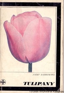 Tulipany / Józef Dąbrowski 