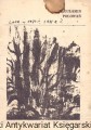 skanowanie0011.jpg