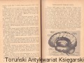 skanowanie0008.jpg