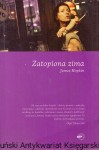 Zatopiona zima / James Hopkin