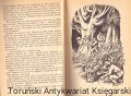 skanowanie0031.jpg
