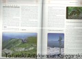 skanowanie0017.jpg