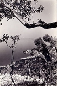 Pocztówka : Podgora / Brak autora 