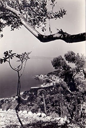 skanowanie0001.jpg
