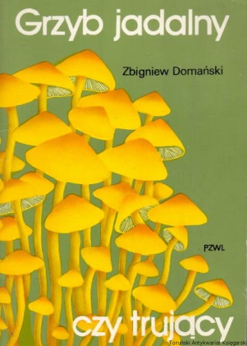skanowanie0013.jpg