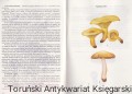 skanowanie0016.jpg