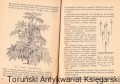 skanowanie0021.jpg