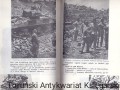 skanowanie0049.jpg