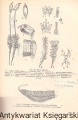 skanowanie0038.jpg