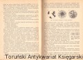 skanowanie0025.jpg