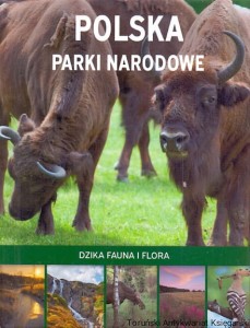 Polska Parki Narodowe : Dzika fauna i flora / Marcin Panek 