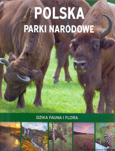 skanowanie0011.jpg
