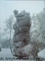 skanowanie0025.jpg