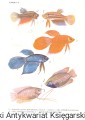 skanowanie0023.jpg