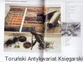 skanowanie0036.jpg