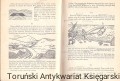 skanowanie0047.jpg