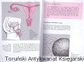 skanowanie0031.jpg