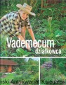 vade.jpg