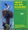 skanowanie0019.jpg