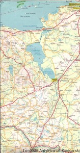 Europa Północna- część wschodnia : Mapa samochodowa / Praca zbiorowa 