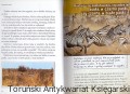 skanowanie0031.jpg