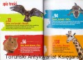 skanowanie0011.jpg