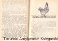 skanowanie0017.jpg