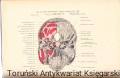 Anatomia tom 1_0012.jpg