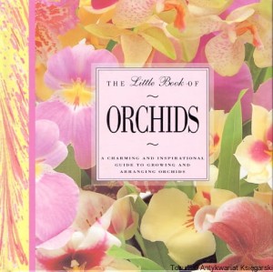 The Little Book of Orchids : A charming and inspirational guide to growing and arranging orchids / David Squire  